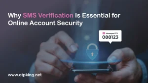Read more about the article Why SMS Verification Is Essential for Online Account Security